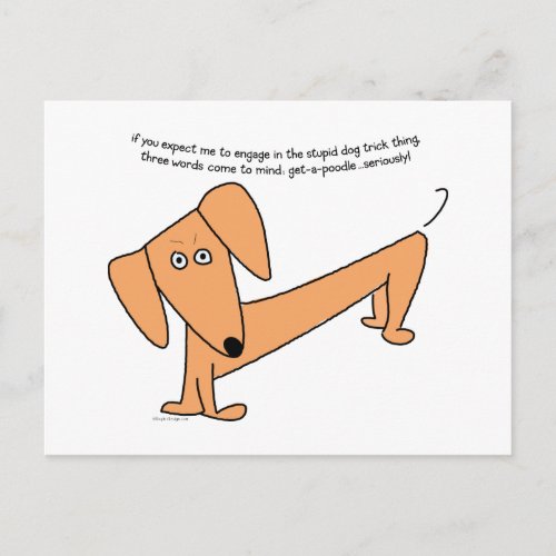 Dachshund Stupid Dog Tricksfor Poodles Postcard