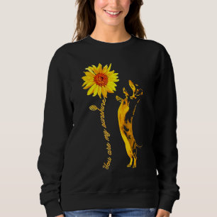 Dachshund Sunshine Funny For Man Woman Sweatshirt