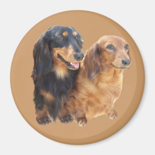 Dachshund Sweeties Magnet