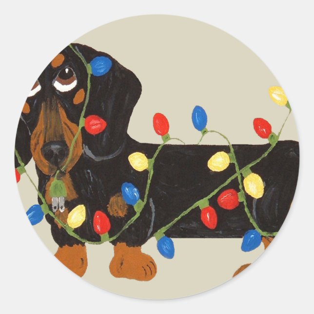 Dachshund Tangled In Christmas Lights Blk/Tan Classic Round Sticker (Front)