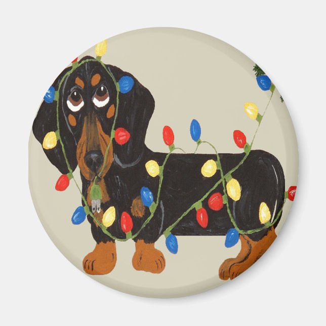 Dachshund Tangled In Christmas Lights Blk/Tan Magnet (Front)