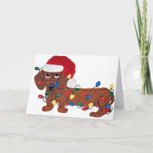 Dachshund Tangled In Christmas Lights Holiday Card