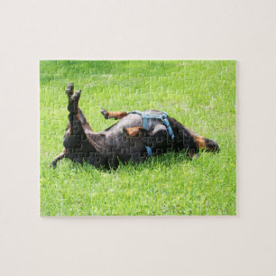 Dachshund - TGIF Jigsaw Puzzle