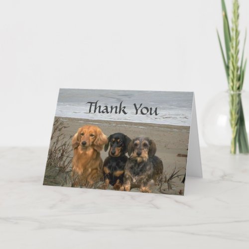 Dachshund Thank You Card Beach