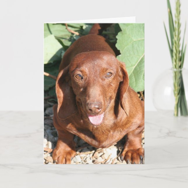 Dachshund Thinking or You Card (Front)