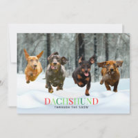 Dachshund Through the Snow 4 running Dogs Funny Holiday Card