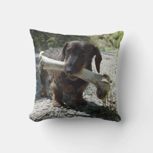 Dachshund Throw Pillow