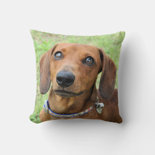 Dachshund Throw Pillow