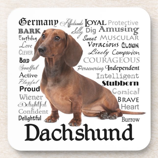Dachshund Traits Coasters (Front)