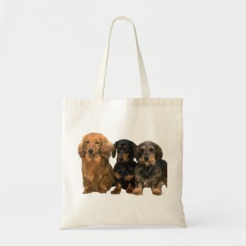 Dachshund Trio Tote Bag by normagolden at Zazzle