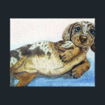 Dachshund Tummy Canvas Print<br><div class="desc">A cute dachshund wants his belly rubbed.</div>