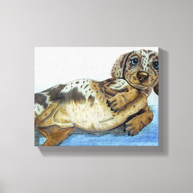 Dachshund Tummy Canvas Print (Front)