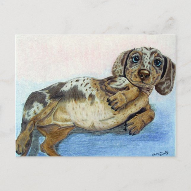 Dachshund Tummy Postcard (Front)