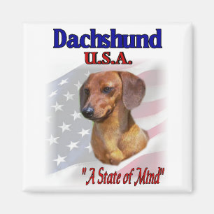Dachshund USA Patriotic Magnet