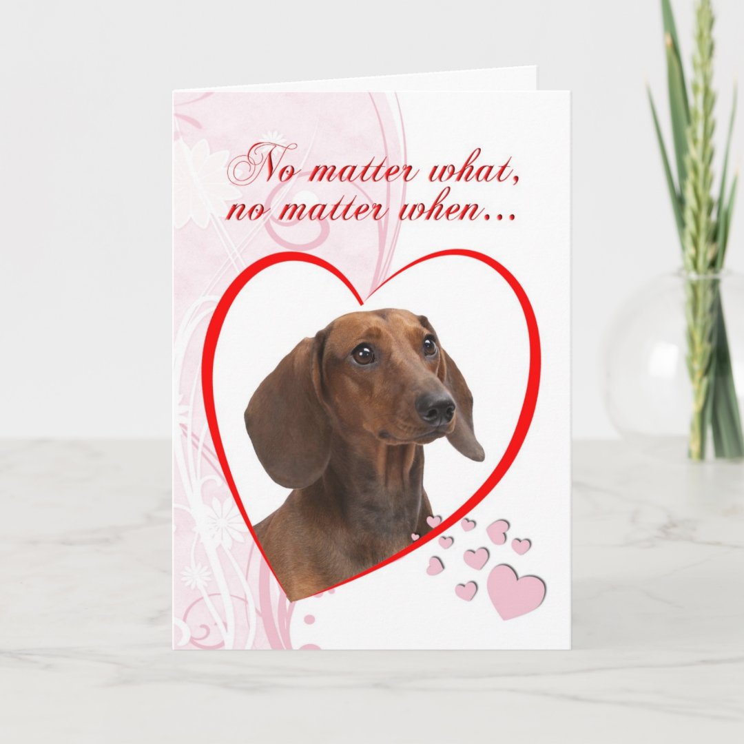 Dachshund Valentine Holiday Card | Zazzle