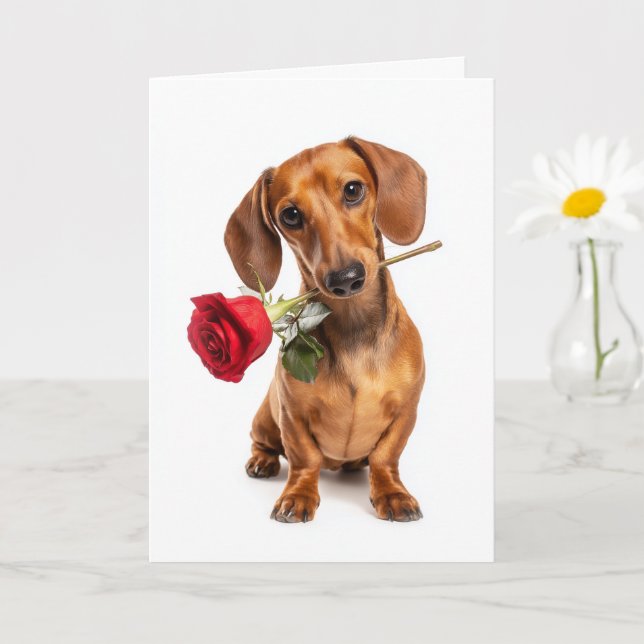 Dachshund Valentine’s Day Puppy Love with a Rose Card (Small Plant)