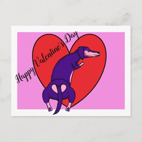 Dachshund Valentines Day Postcard