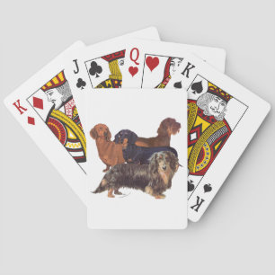 Dachshund Varieties Poker Cards