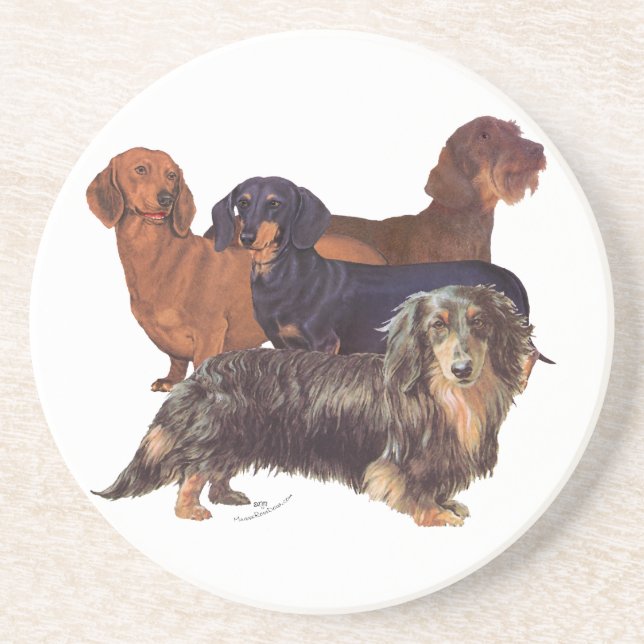 Dachshund Varieties Sandstone Coaster (Front)