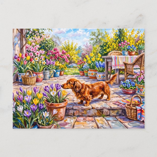 Dachshund Walking Through Colorful Blooming Spring Postcard (Front)
