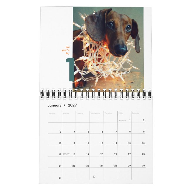 dachshund wall calendar 2012 - tiny chumley (Jan 2027)