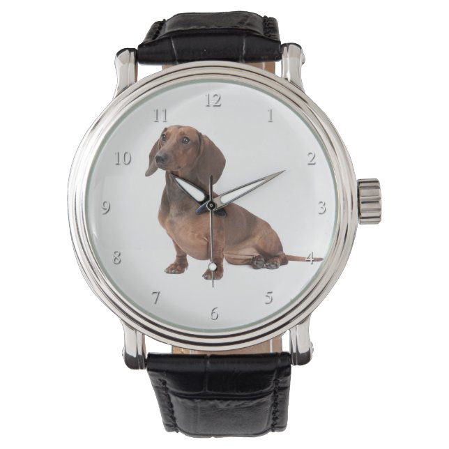Dachshund Watch (Front)