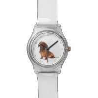 Dachshund Watch