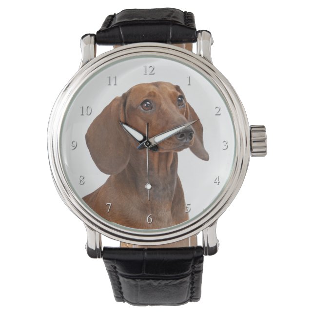 Dachshund Watch (Front)