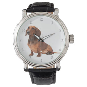 Dachshund Watch