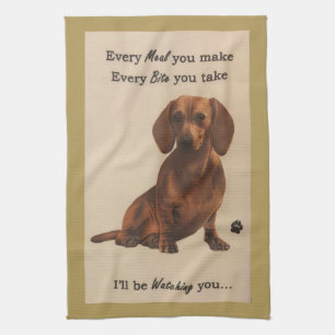 Dachshund Watching Kitchen Towel