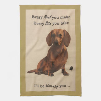 Dachshund Watching Kitchen Towel