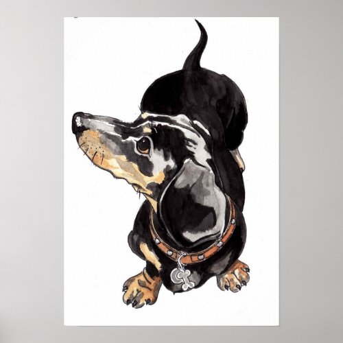 Dachshund watercolour painting by Annabel Tarrant Poster