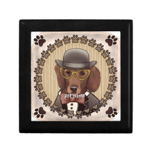 Dachshund wearing glasses gift box