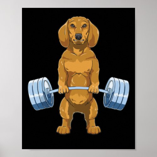 Dachshund Weightlifting Deadlift Fitness Gym Poster
