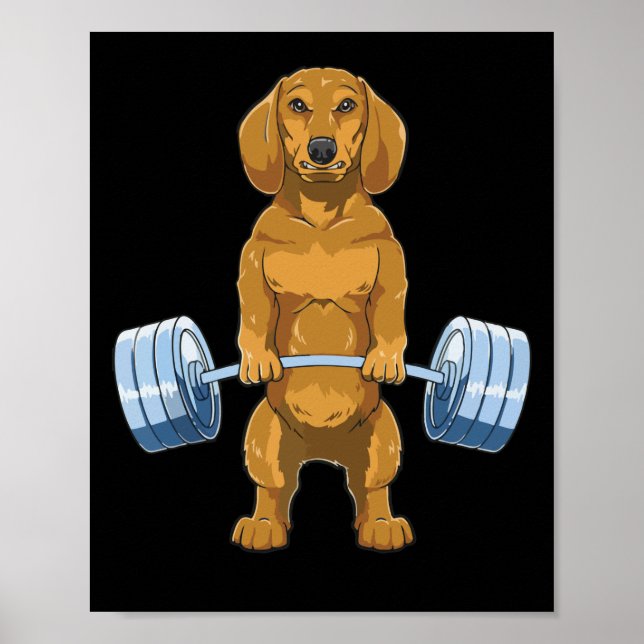 Dachshund Weightlifting Deadlift Fitness Gym Poster (Front)