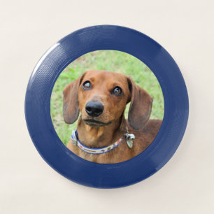 Dachshund Wham-O Frisbee