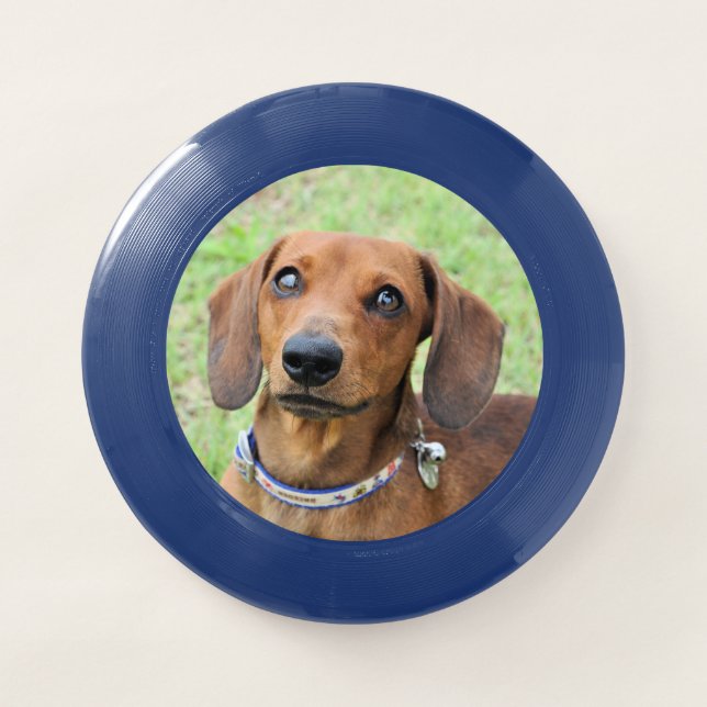Dachshund Wham-O Frisbee (Front)