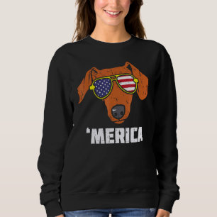 Dachshund Wiener American Usa Flag 4th Of July Fou Sweatshirt
