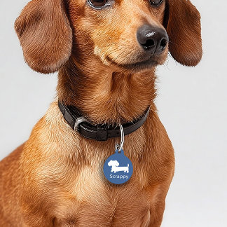 Dachshund Wiener Dog ID Dog Tag Blue