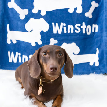 Dachshund Wiener Dog Personalized Blanket | Doxie by Smoothe1 at Zazzle
