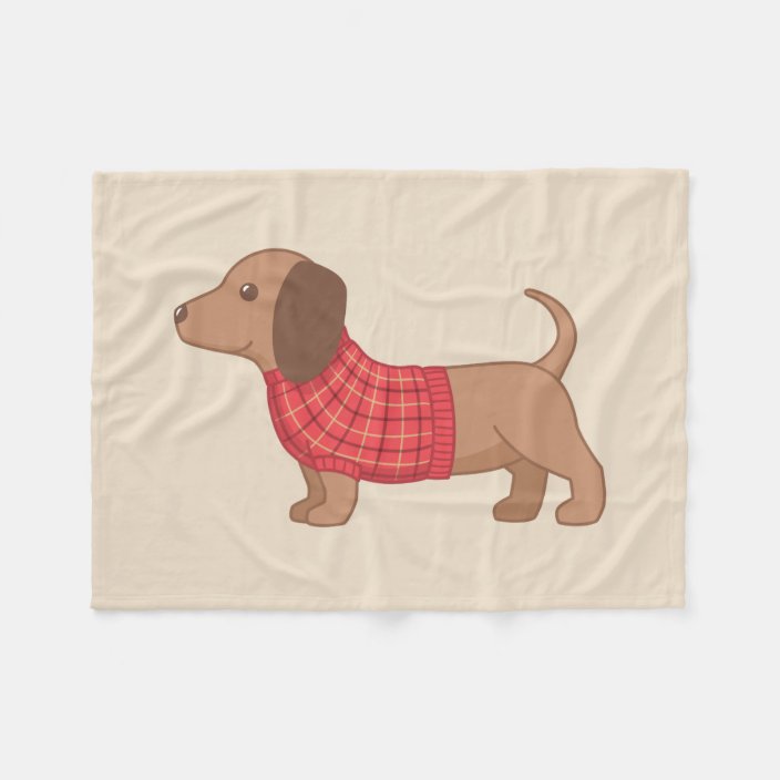 dog blanket sweater