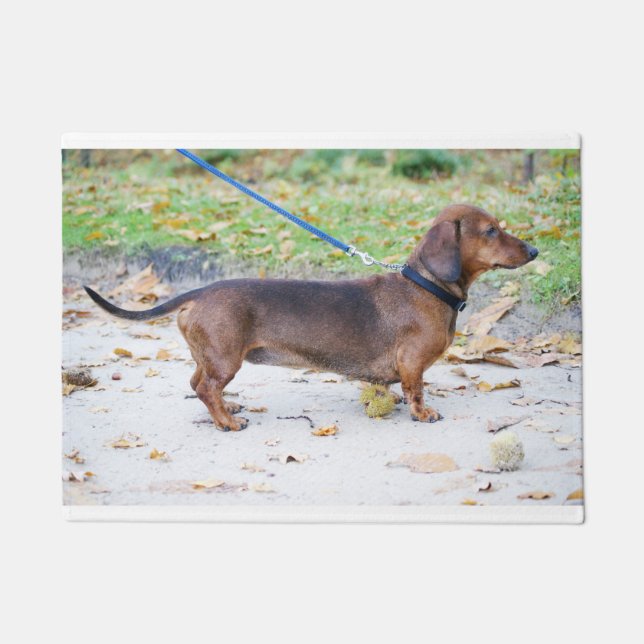 dachshund-wild boar full doormat (Front)
