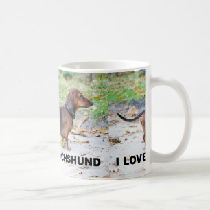 dachshund-wild boar full love w pic coffee mug
