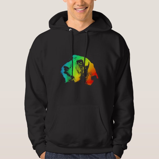 Dachshund Wire Hair Colorful Rainbow Retro  Hoodie (Front)
