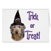 Dachshund (wire) Trick (Front Horizontal)