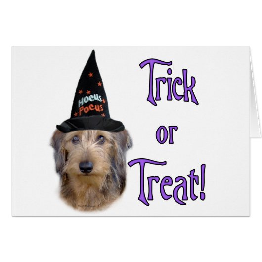 Dachshund (wire) Trick (Front Horizontal)