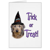 Dachshund (wire) Trick (Front)