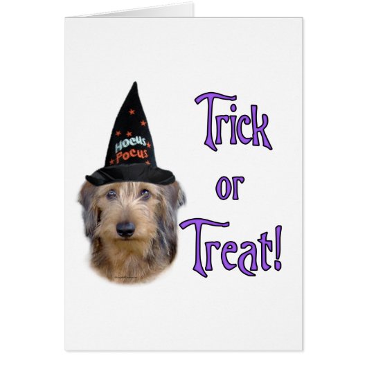 Dachshund (wire) Trick Cards (Front)