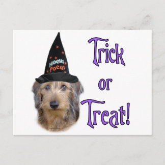 Dachshund (wire) Trick Postcard