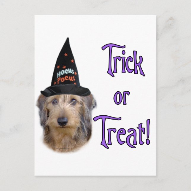 Dachshund (wire) Trick Postcard (Front)